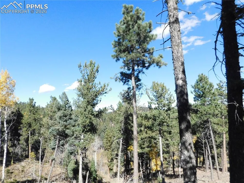13886 Boulder Lane Larkspur, CO 80118