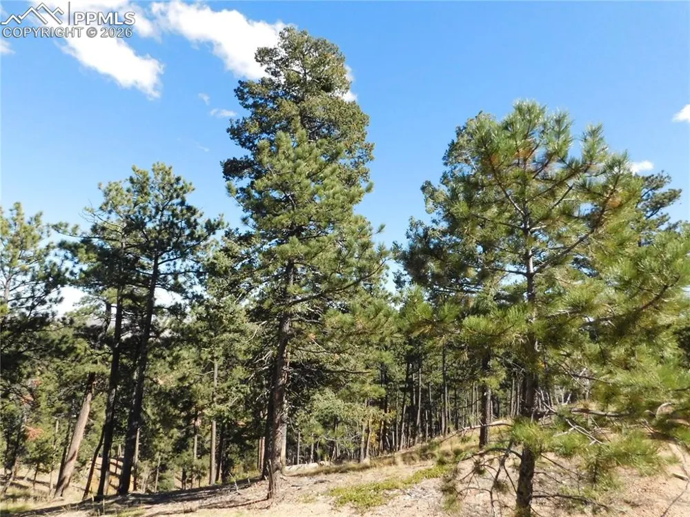 13886 Boulder Lane Larkspur, CO 80118