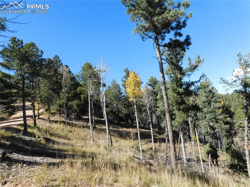 13886 Boulder Lane Larkspur, CO 80118