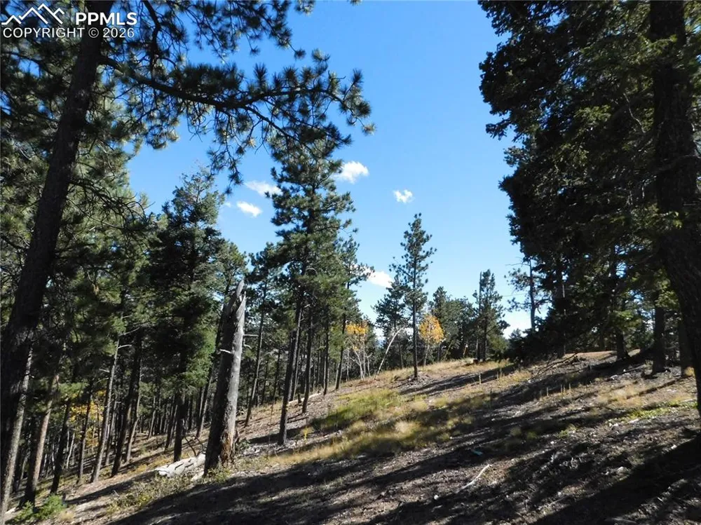 13886 Boulder Lane Larkspur, CO 80118