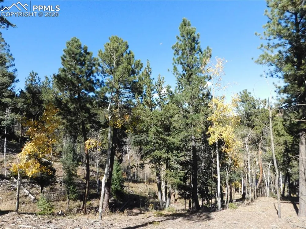 13886 Boulder Lane Larkspur, CO 80118