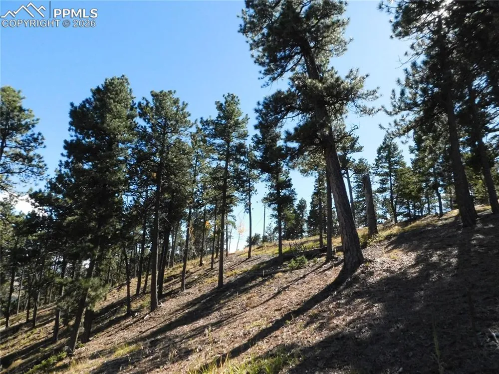 13886 Boulder Lane Larkspur, CO 80118