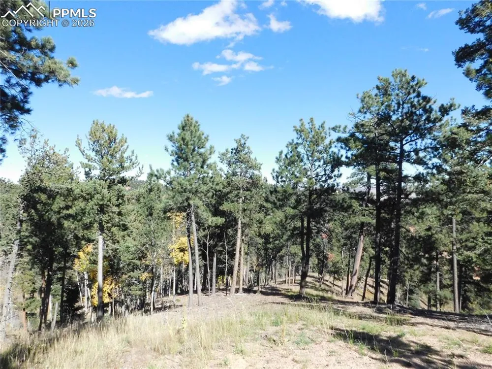 13886 Boulder Lane Larkspur, CO 80118