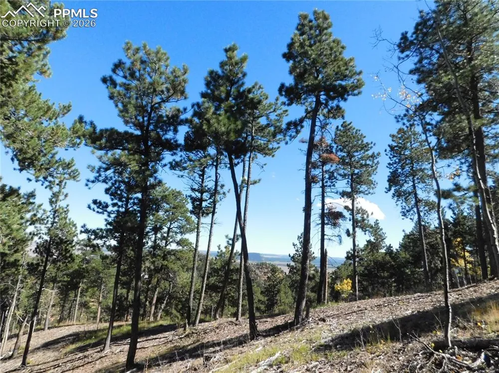 13886 Boulder Lane Larkspur, CO 80118