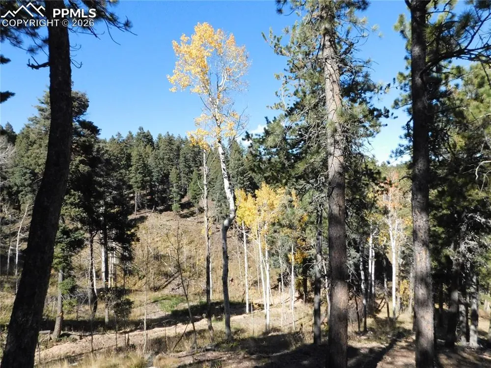13886 Boulder Lane Larkspur, CO 80118