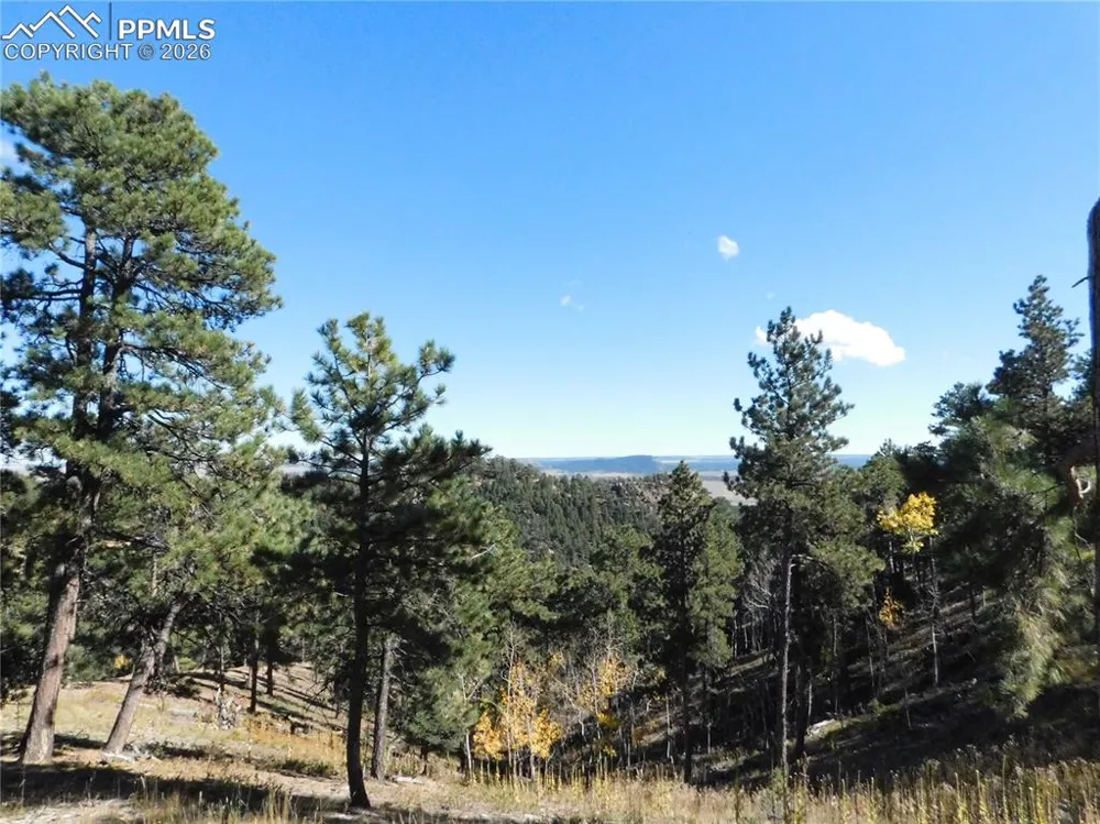 13886 Boulder Lane Larkspur, CO 80118