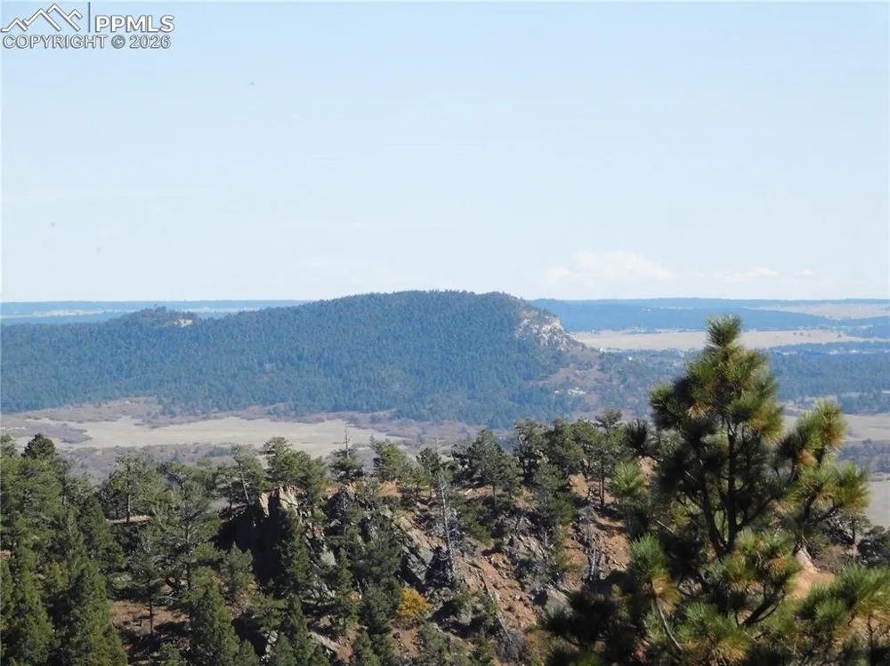 13886 Boulder Lane Larkspur, CO 80118