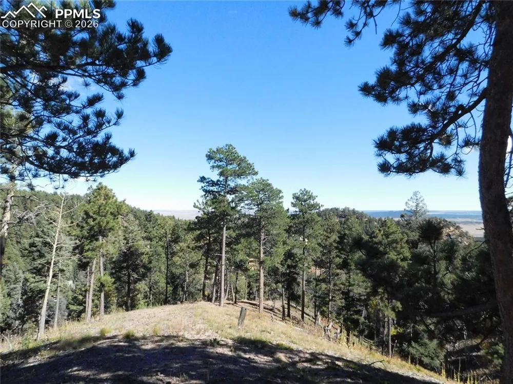 13886 Boulder Lane Larkspur, CO 80118