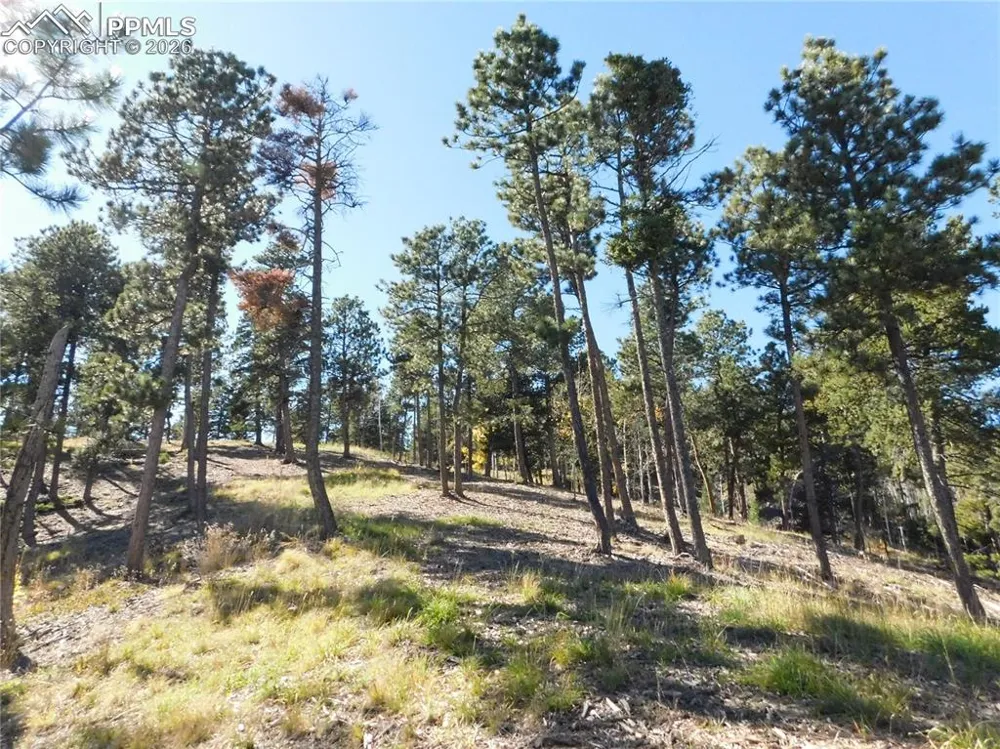 13886 Boulder Lane Larkspur, CO 80118