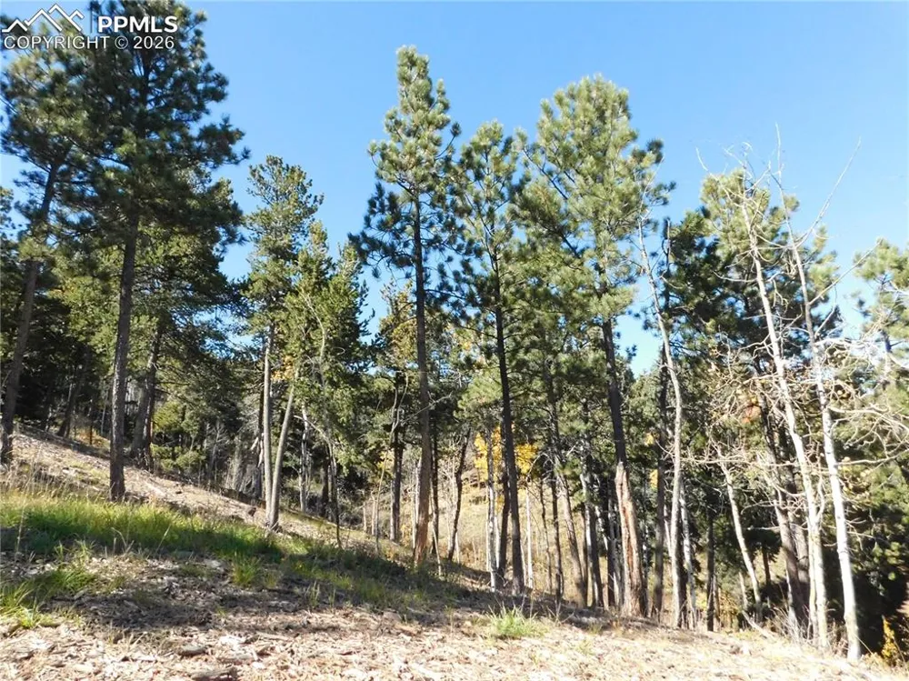 13886 Boulder Lane Larkspur, CO 80118