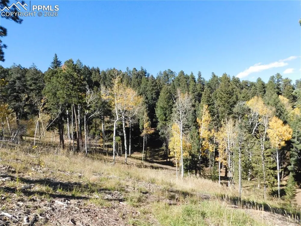 13886 Boulder Lane Larkspur, CO 80118