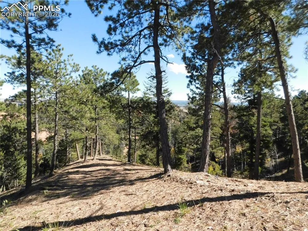 13886 Boulder Lane Larkspur, CO 80118