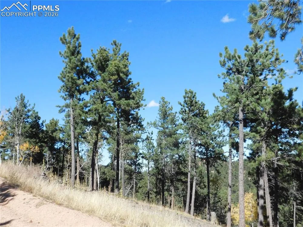 13886 Boulder Lane Larkspur, CO 80118