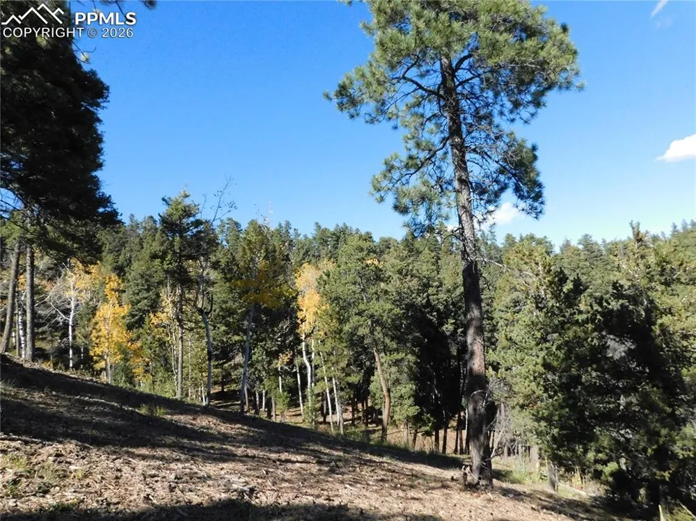 13886 Boulder Lane Larkspur, CO 80118