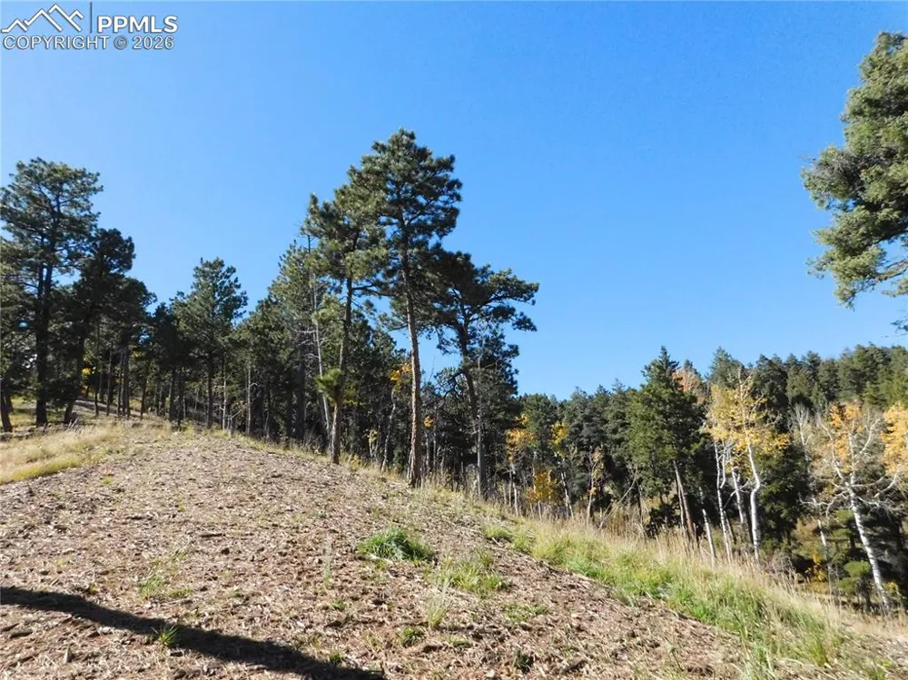 13886 Boulder Lane Larkspur, CO 80118