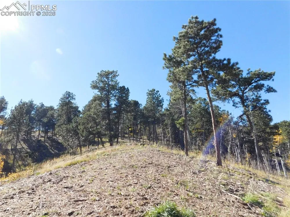 13886 Boulder Lane Larkspur, CO 80118