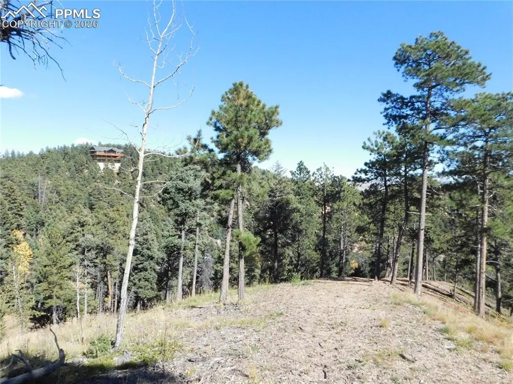 13886 Boulder Lane Larkspur, CO 80118