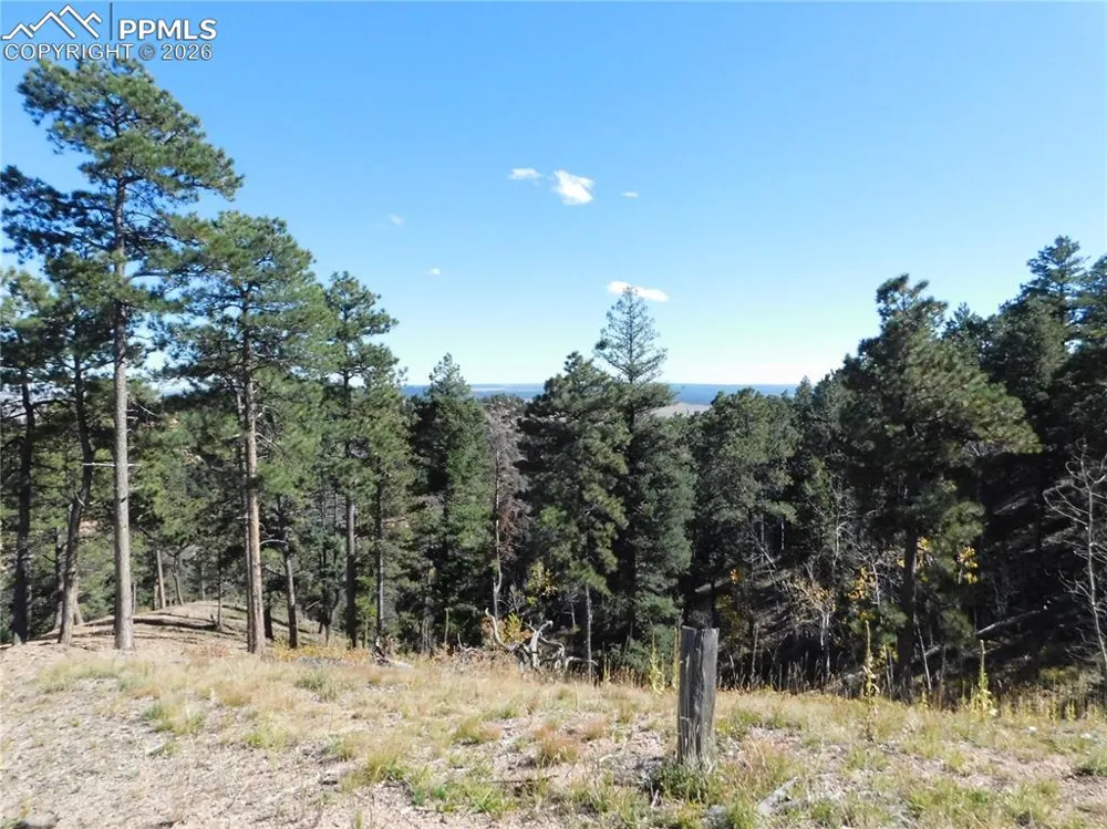 13886 Boulder Lane Larkspur, CO 80118