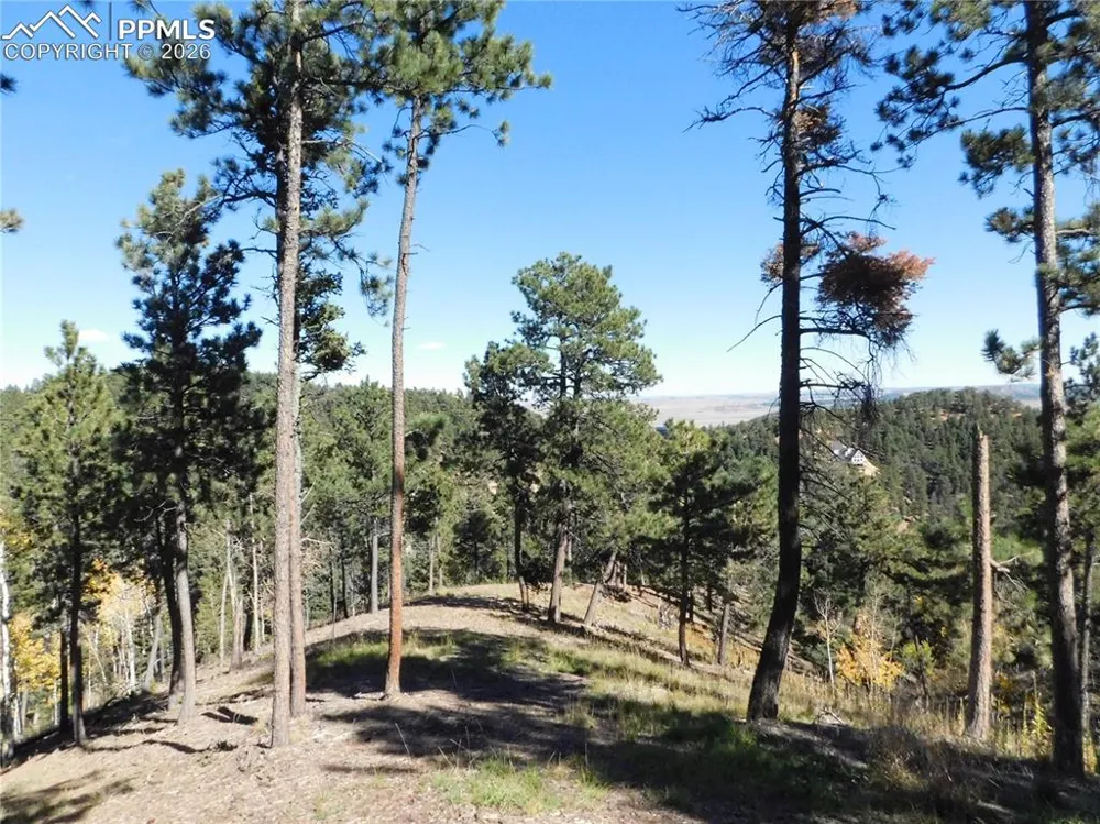 13886 Boulder Lane Larkspur, CO 80118