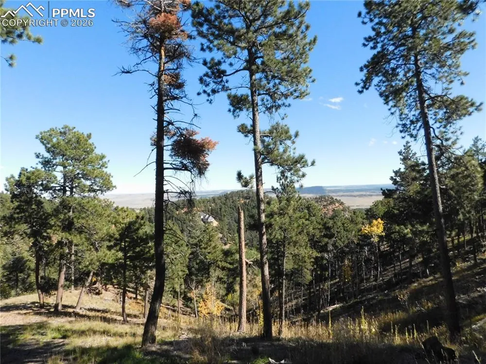 13886 Boulder Lane Larkspur, CO 80118