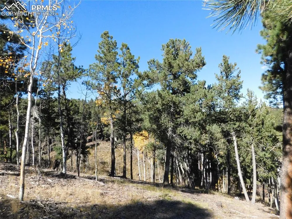 13886 Boulder Lane Larkspur, CO 80118