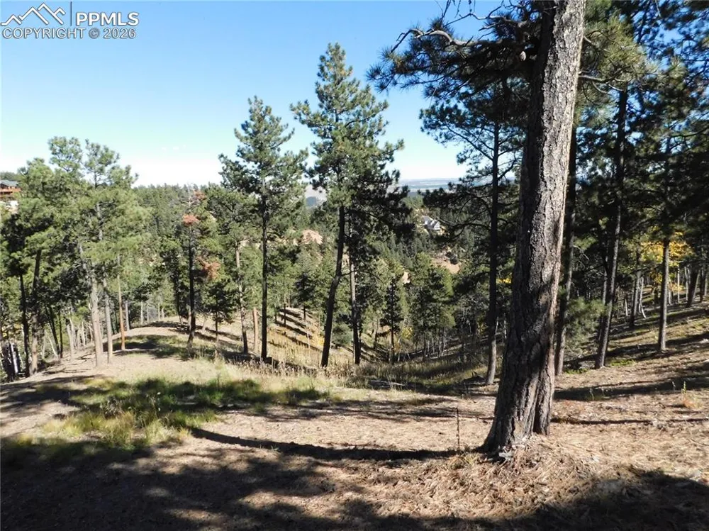 13886 Boulder Lane Larkspur, CO 80118
