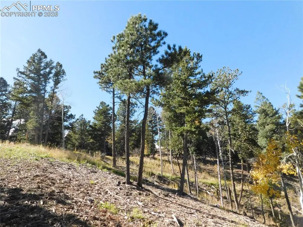 13886 Boulder Lane Larkspur, CO 80118