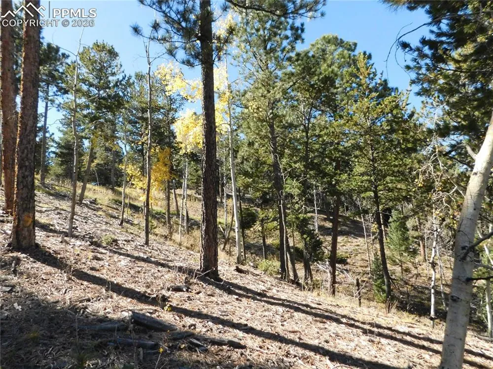 13886 Boulder Lane Larkspur, CO 80118
