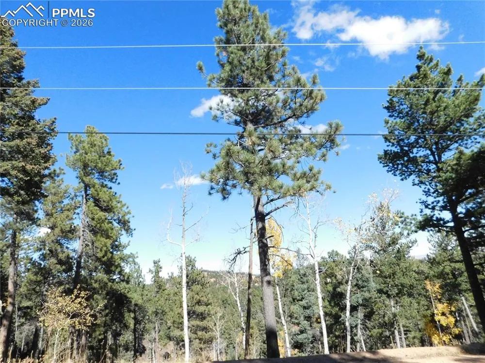 13886 Boulder Lane Larkspur, CO 80118