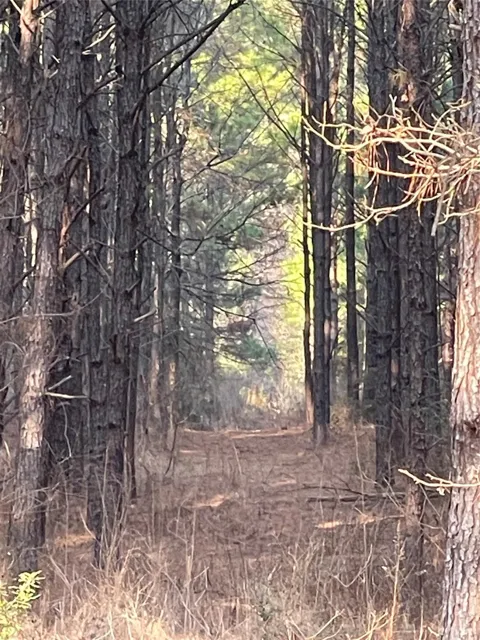 Kickapoo Road