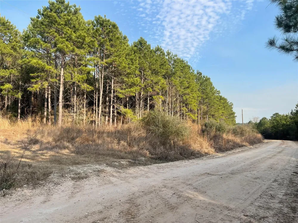 Kickapoo Road Groveton, TX 75845