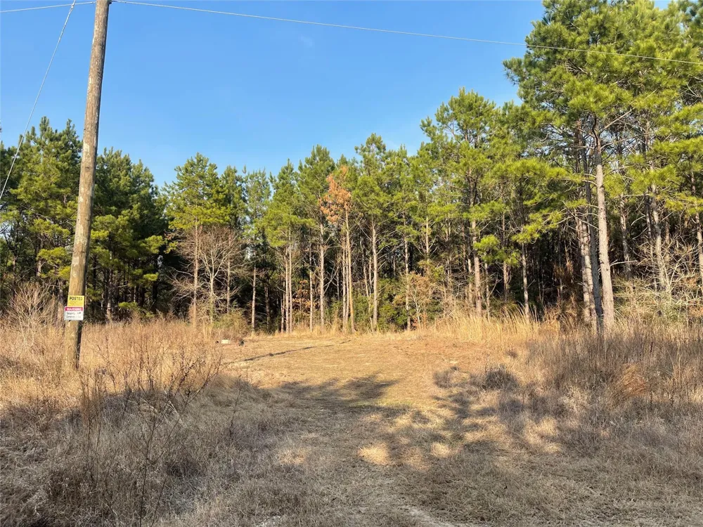Kickapoo Road Groveton, TX 75845