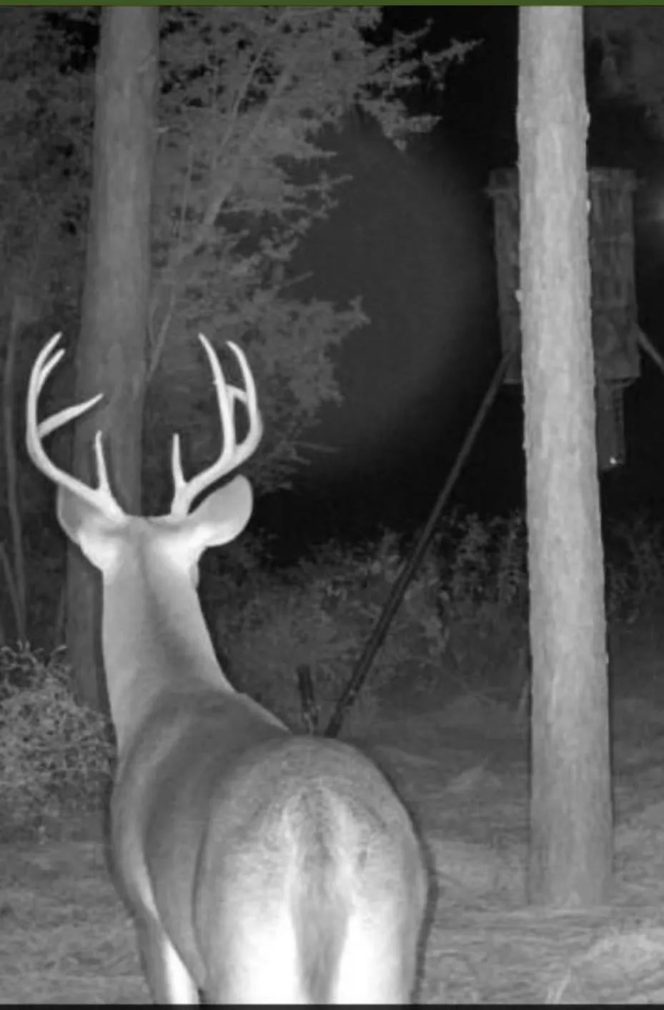 Kickapoo Road Groveton, TX 75845