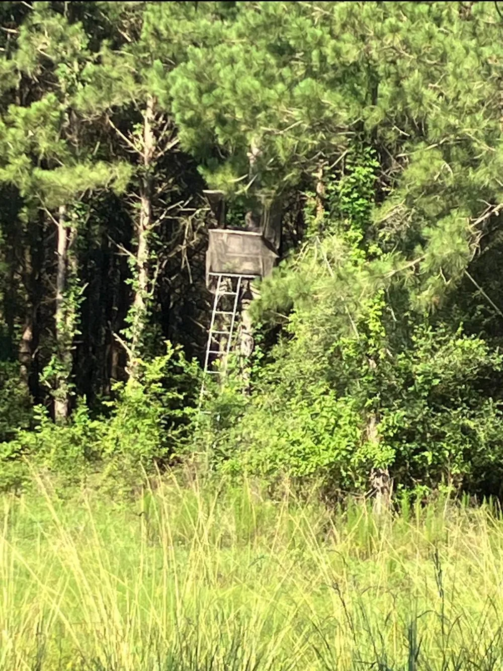 Kickapoo Road Groveton, TX 75845