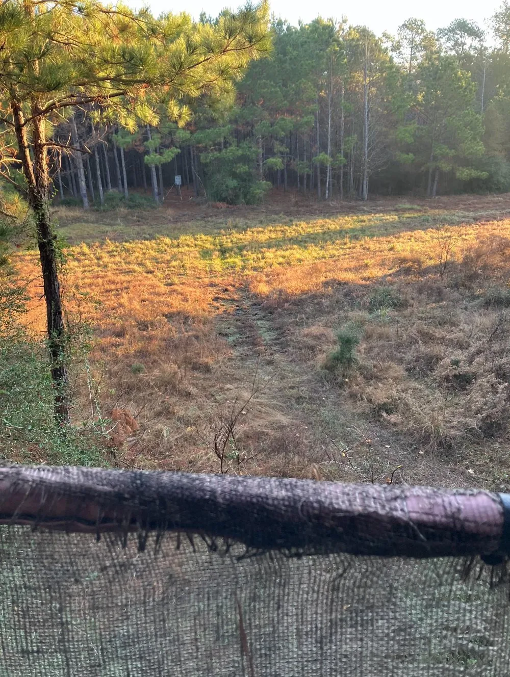 Kickapoo Road Groveton, TX 75845