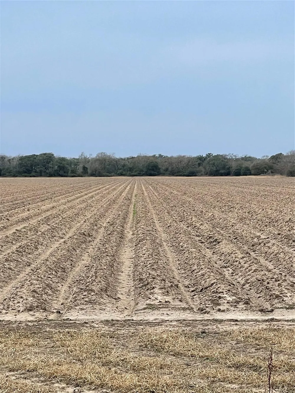 Cr 385 El Campo, TX 77437