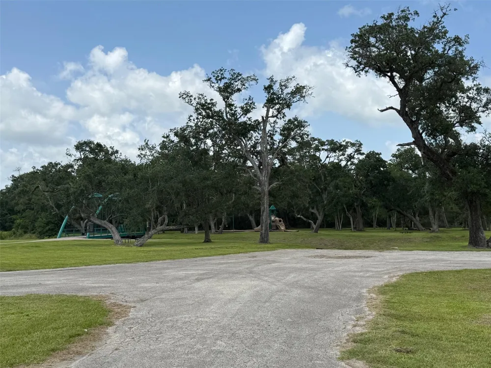 32510 Redfish Trail Richwood, TX 77515