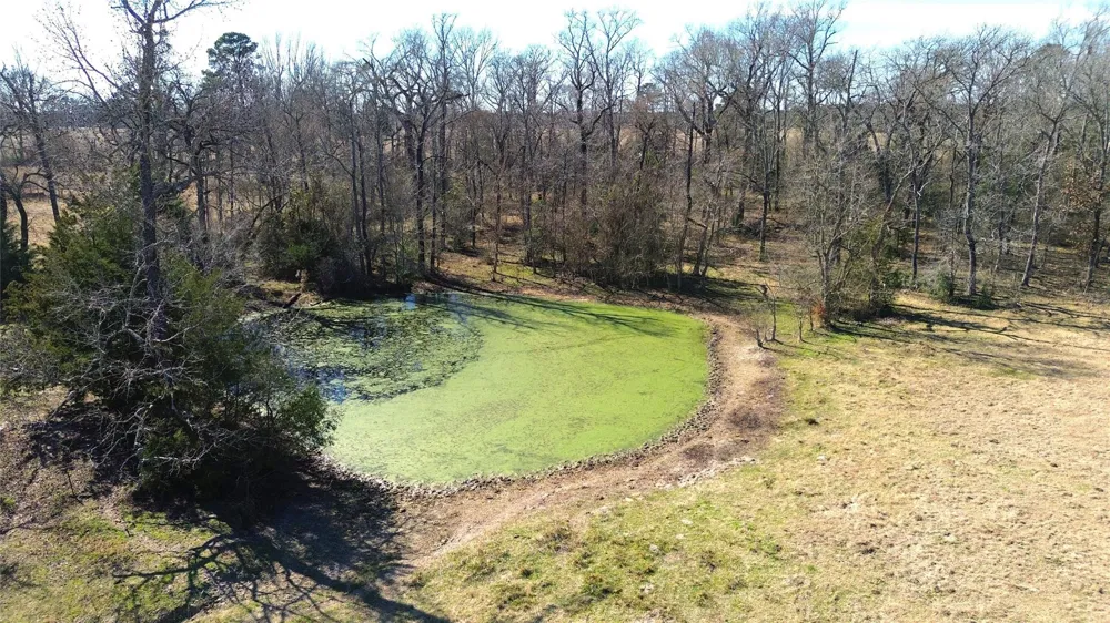 8701 E State Highway 7 Crockett, TX 75835