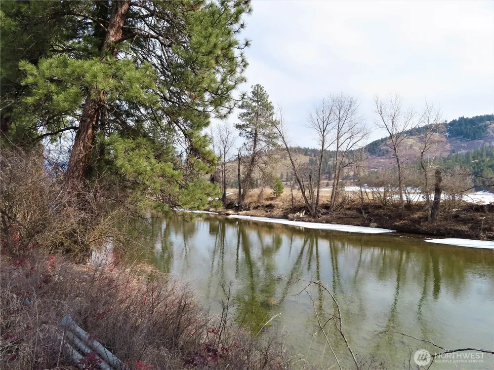 0 Lot 8 Highway 21 Danville, WA 99121