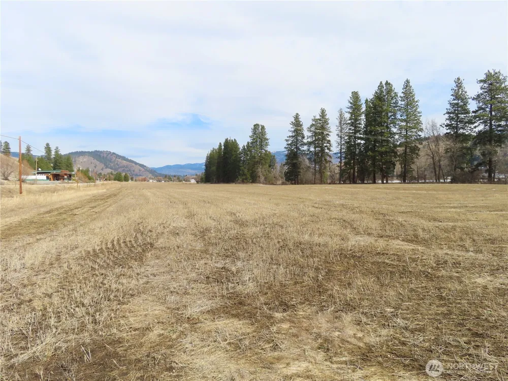 0 Lot 8 Highway 21 Danville, WA 99121