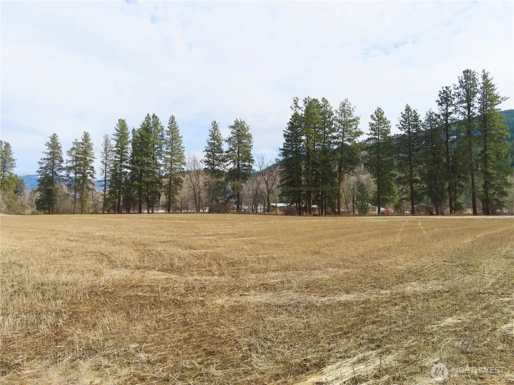 0 Lot 8 Highway 21 Danville, WA 99121
