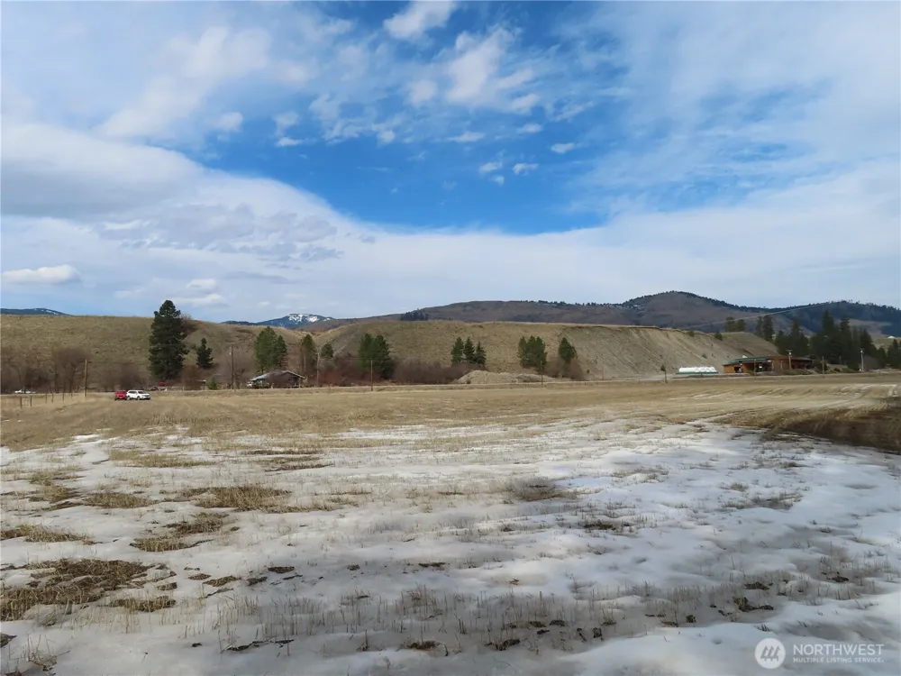 0 Lot 8 Highway 21 Danville, WA 99121