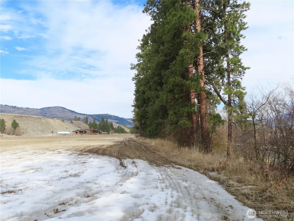0 Lot 8 Highway 21 Danville, WA 99121