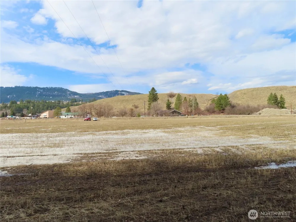 0 Lot 8 Highway 21 Danville, WA 99121