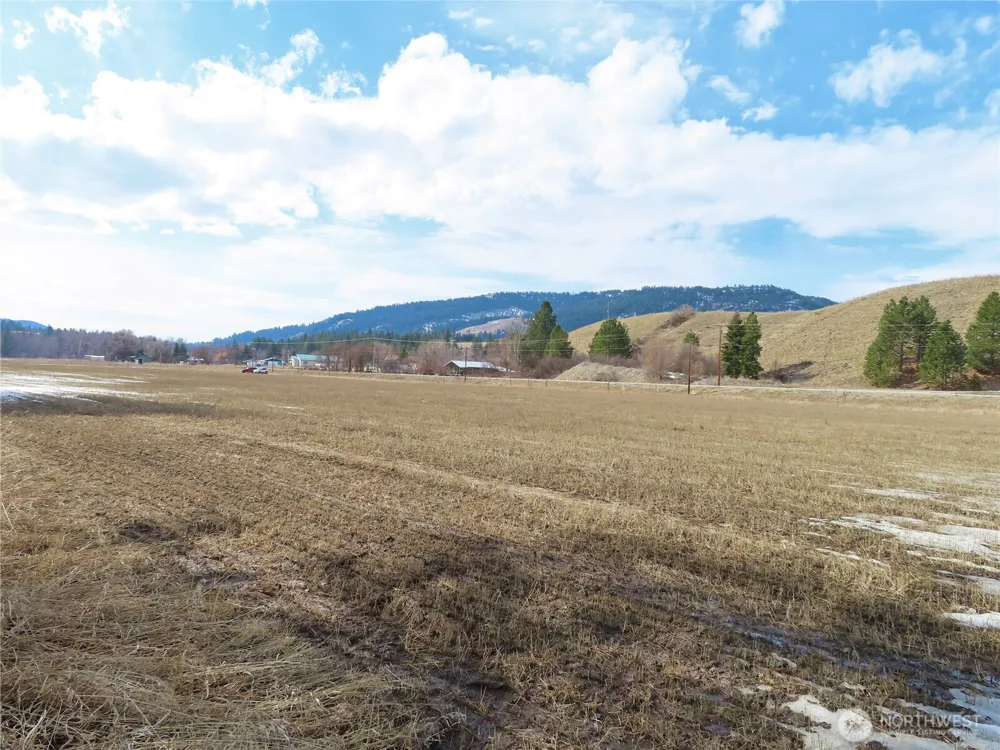 0 Lot 8 Highway 21 Danville, WA 99121