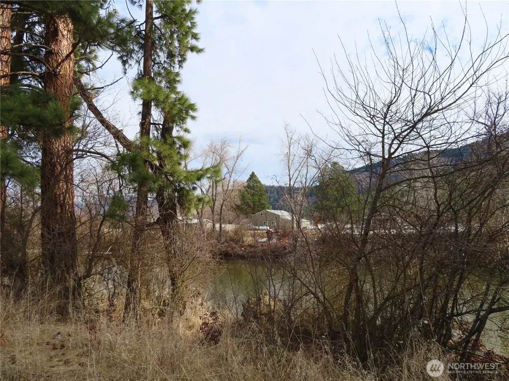 0 Lot 8 Highway 21 Danville, WA 99121