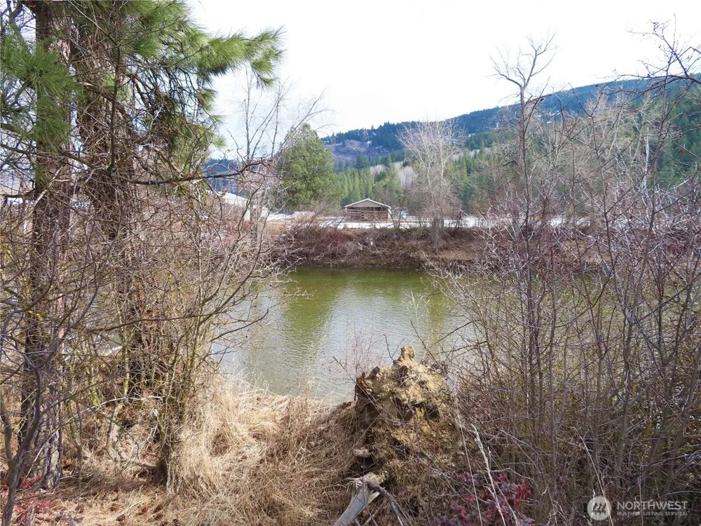 0 Lot 8 Highway 21 Danville, WA 99121