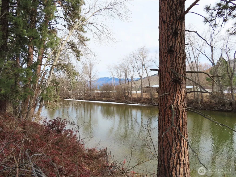 0 Lot 8 Highway 21 Danville, WA 99121
