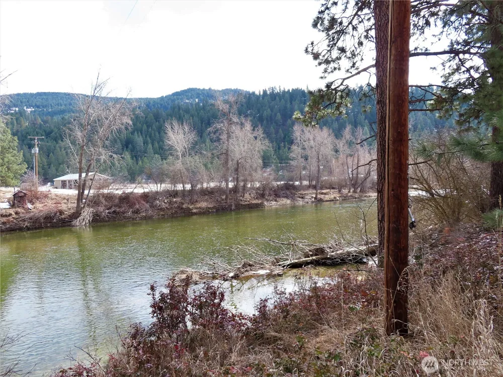 0 Lot 8 Highway 21 Danville, WA 99121