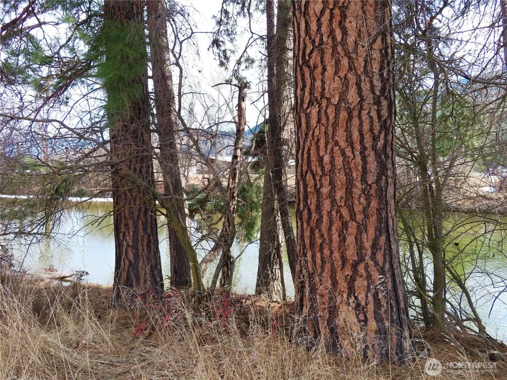 0 Lot 8 Highway 21 Danville, WA 99121